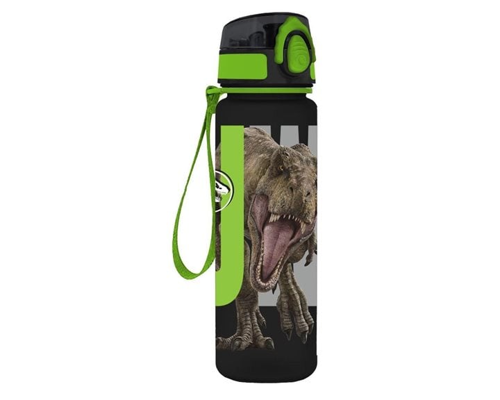 Παγούρι PCTG 650ml 6.5x23εκ.Jurassic 000570978