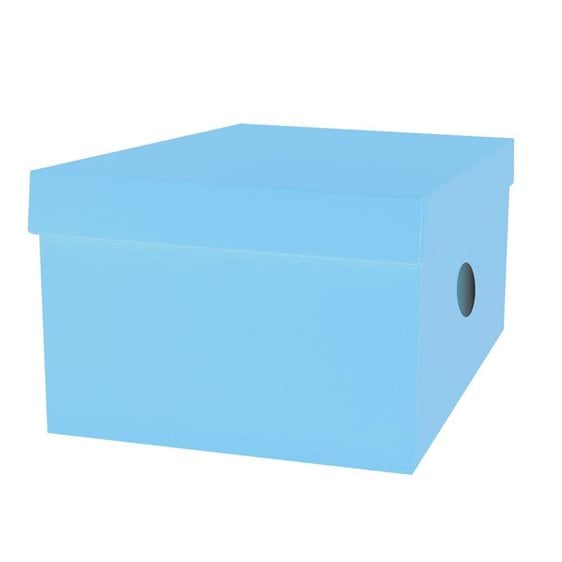 Κουτί Αποθήκευσης The Littlies 33x24x18cm 6 Χρώματα 00646686