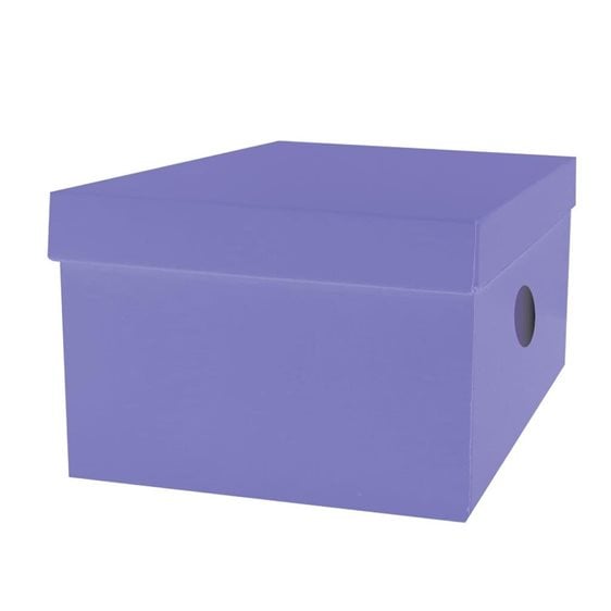 Κουτί Αποθήκευσης The Littlies 33x24x18cm 6 Χρώματα 00646686