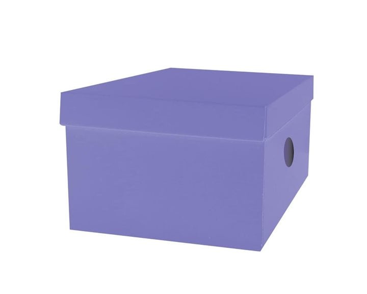 Κουτί Αποθήκευσης The Littlies 33x24x18cm 6 Χρώματα 00646686