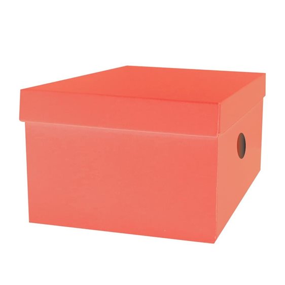 Κουτί Αποθήκευσης The Littlies 33x24x18cm 6 Χρώματα 00646686