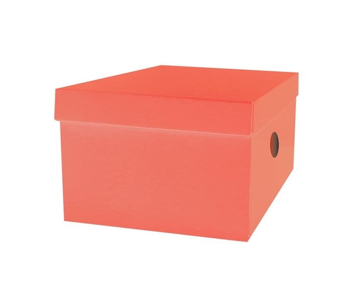 Κουτί Αποθήκευσης The Littlies 33x24x18cm 6 Χρώματα 00646686