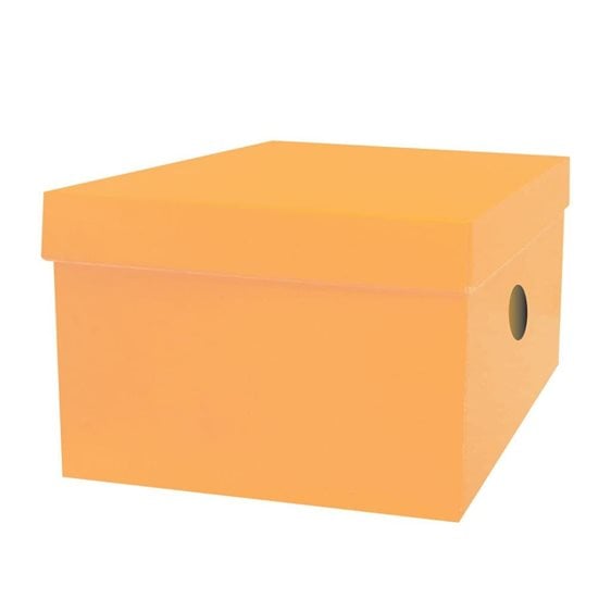 Κουτί Αποθήκευσης The Littlies 33x24x18cm 6 Χρώματα 00646686