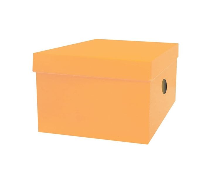 Κουτί Αποθήκευσης The Littlies 33x24x18cm 6 Χρώματα 00646686