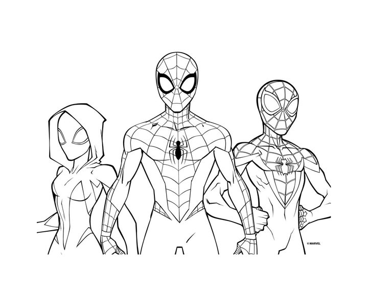 Σετ Χρωματισμού 54x47cm Spiderman 000508424
