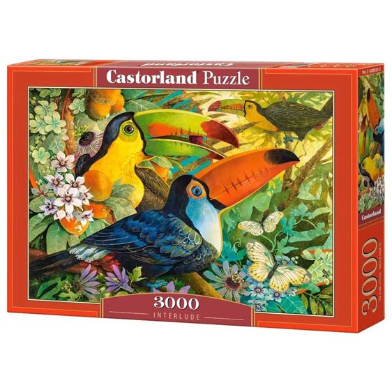 Παζλ Castorland 3000τεμ. Interlude