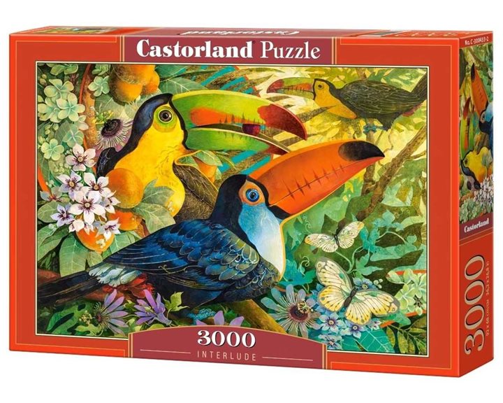 Παζλ Castorland 3000τεμ. Interlude