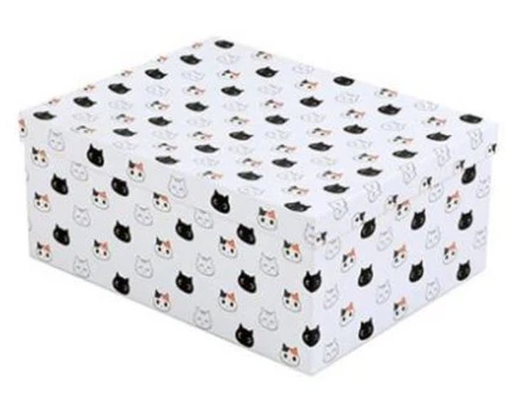 I-Total Κουτί Δώρου XL2539 35x27x15.5εκ. Cat