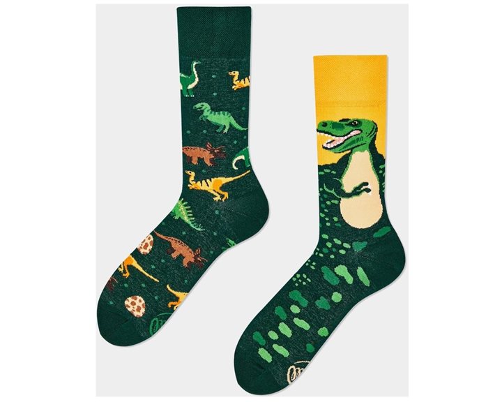Many Mornings Socks Κάλτσες The Dinosaurs EU: 35-38