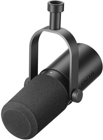 BOYA CastMic P60 - XLR & USB-C Dual-Diaphragm Desktop USB Microphone 24bit 192kHz Plug&Play