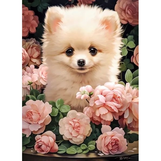 Παζλ Castorland 300τμχ 40x29cm Pomeranian Puppy In Roses B-030552