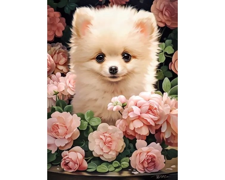 Παζλ Castorland 300τμχ 40x29cm Pomeranian Puppy In Roses B-030552
