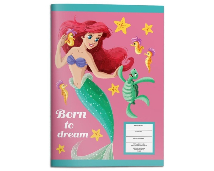 Τετράδιο Καρφίτσα 17χ25 40φ Princess Ariel 000565853