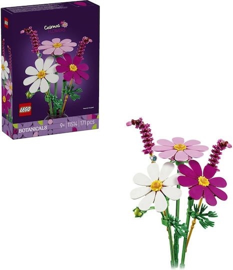 LEGO Botanicals Λουλούδια Κόσμος 11514
