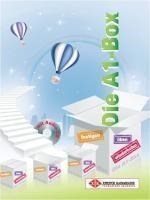Die A1- Box Kursbuch (+ Audio Cd)